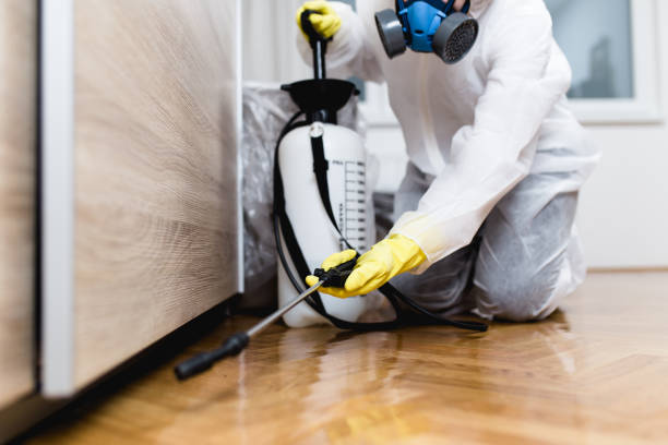 Best Affordable Pest Control Services  in Oak Forest, IL