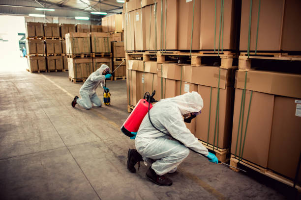 Best Residential Pest Control  in Oak Forest, IL