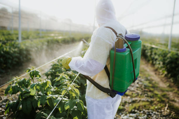 Trusted Oak Forest, IL Pest Control Experts
